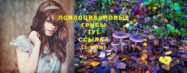 первитин Арсеньев