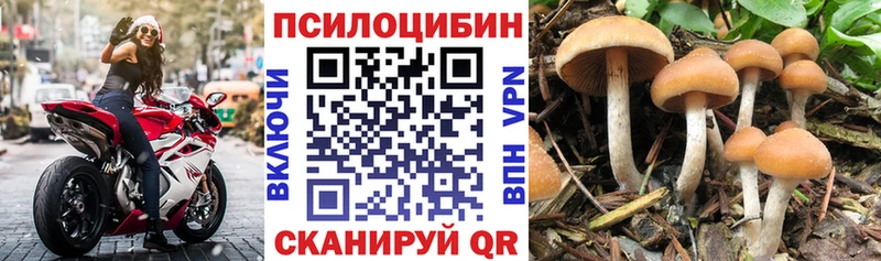 Галлюциногенные грибы GOLDEN TEACHER KRAKEN рабочий сайт Светлоград